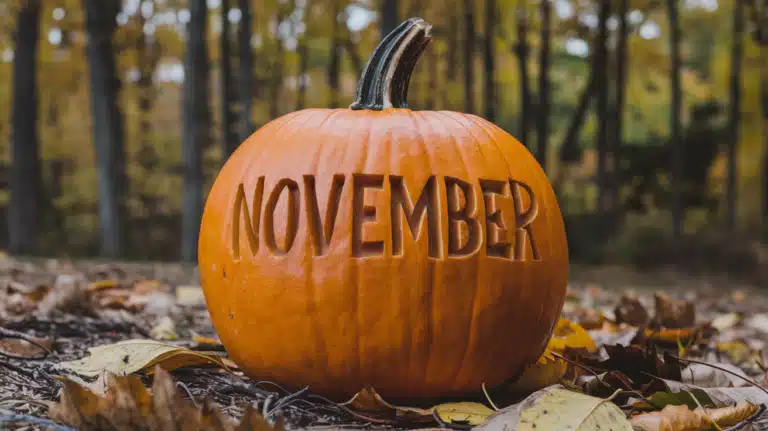 350 Best November Puns Jokes Fall Over Laughing with These Hilarious One-Liners